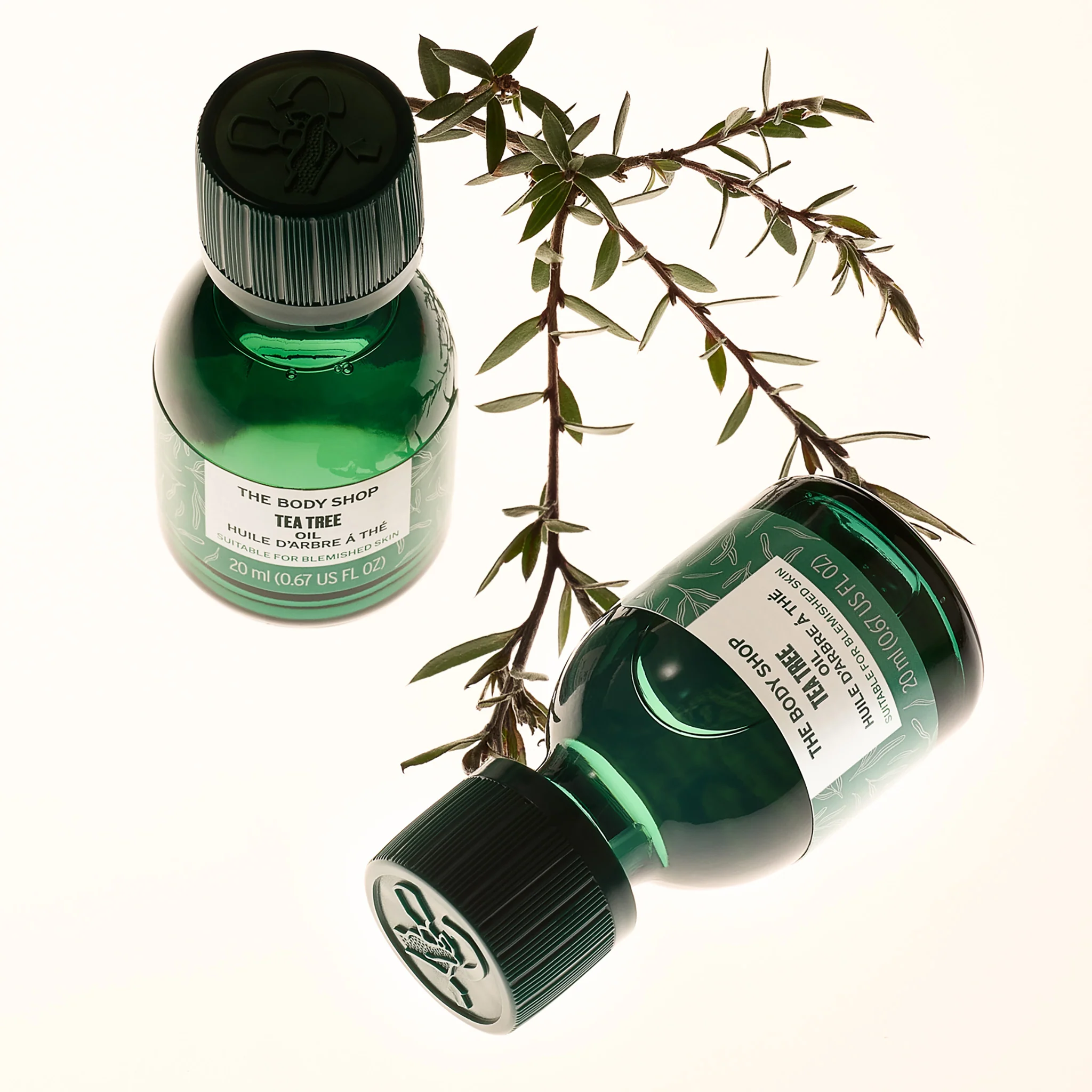 Tea Tree Oil for skin 10ml - Image 4